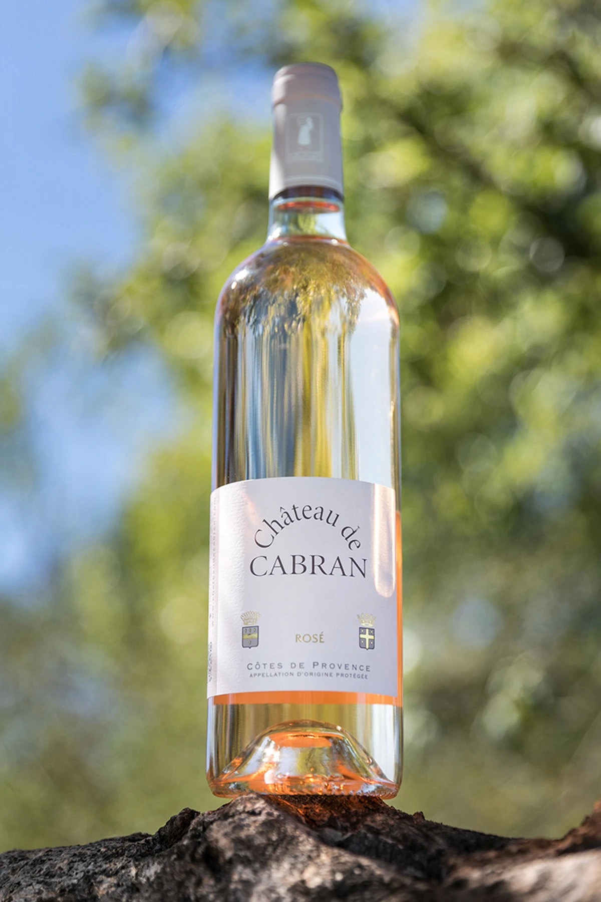 Château de Cabran Rosé