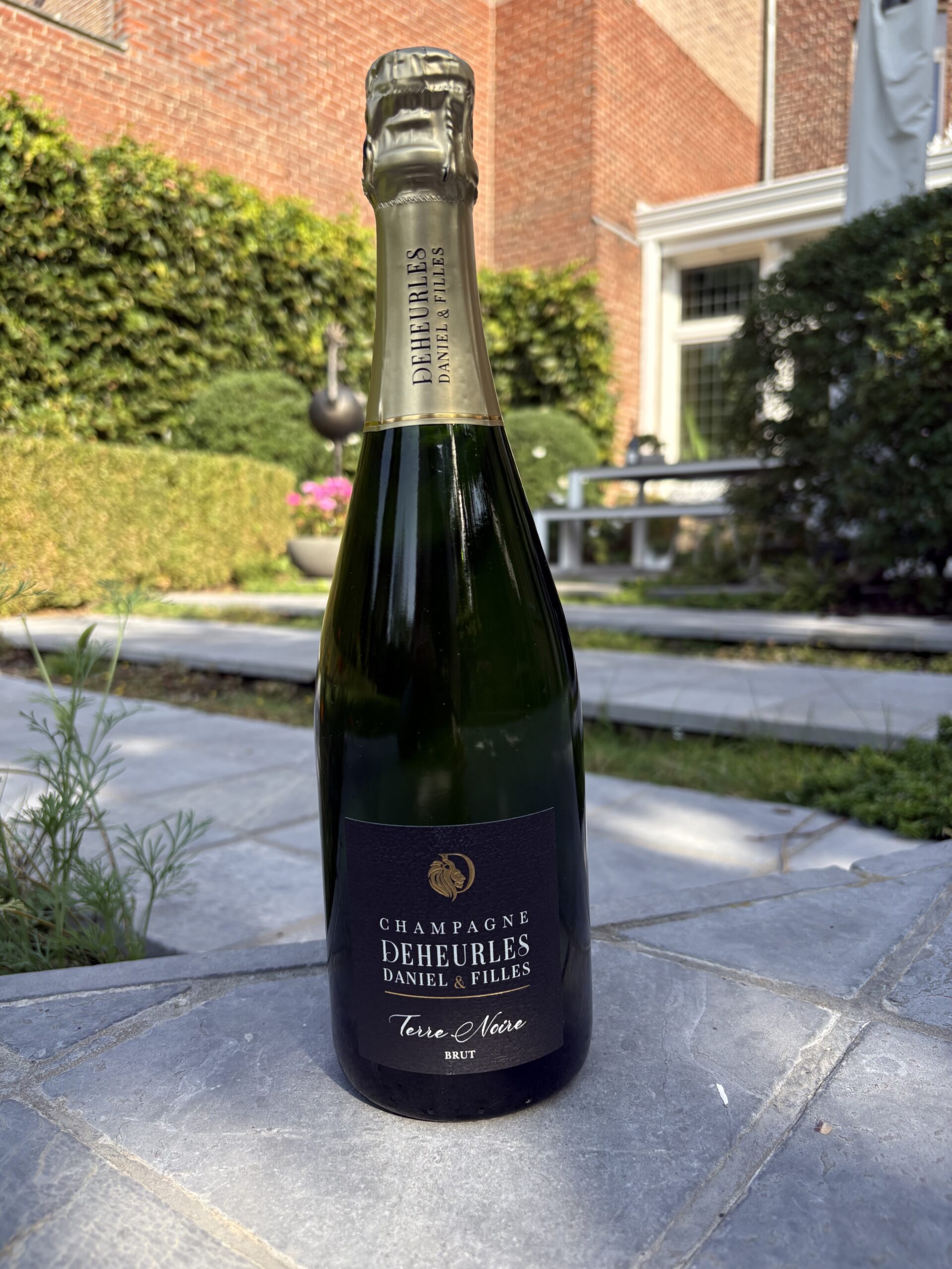 Champagne Deheurles Daniel Terre Noir Brut