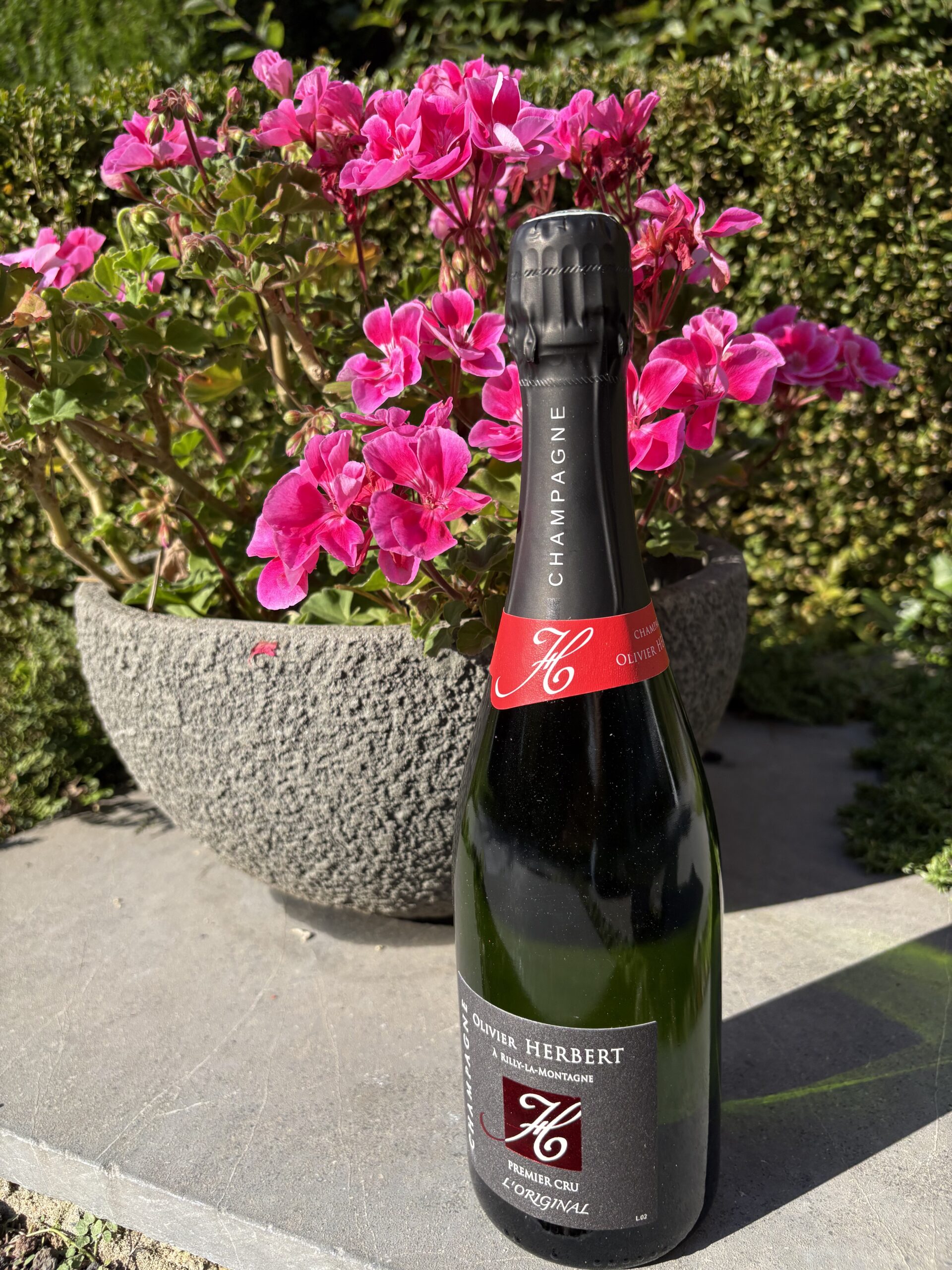 Champagne Premier Cru Olivier Herbert l’Original